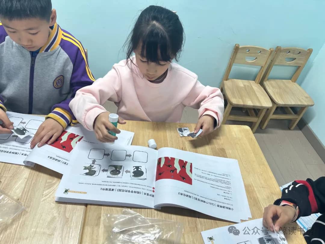 鲸读书房小手创造大世界：孩子们在课堂中完成的精彩操作手册！